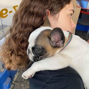 Meet your Posher, Bella